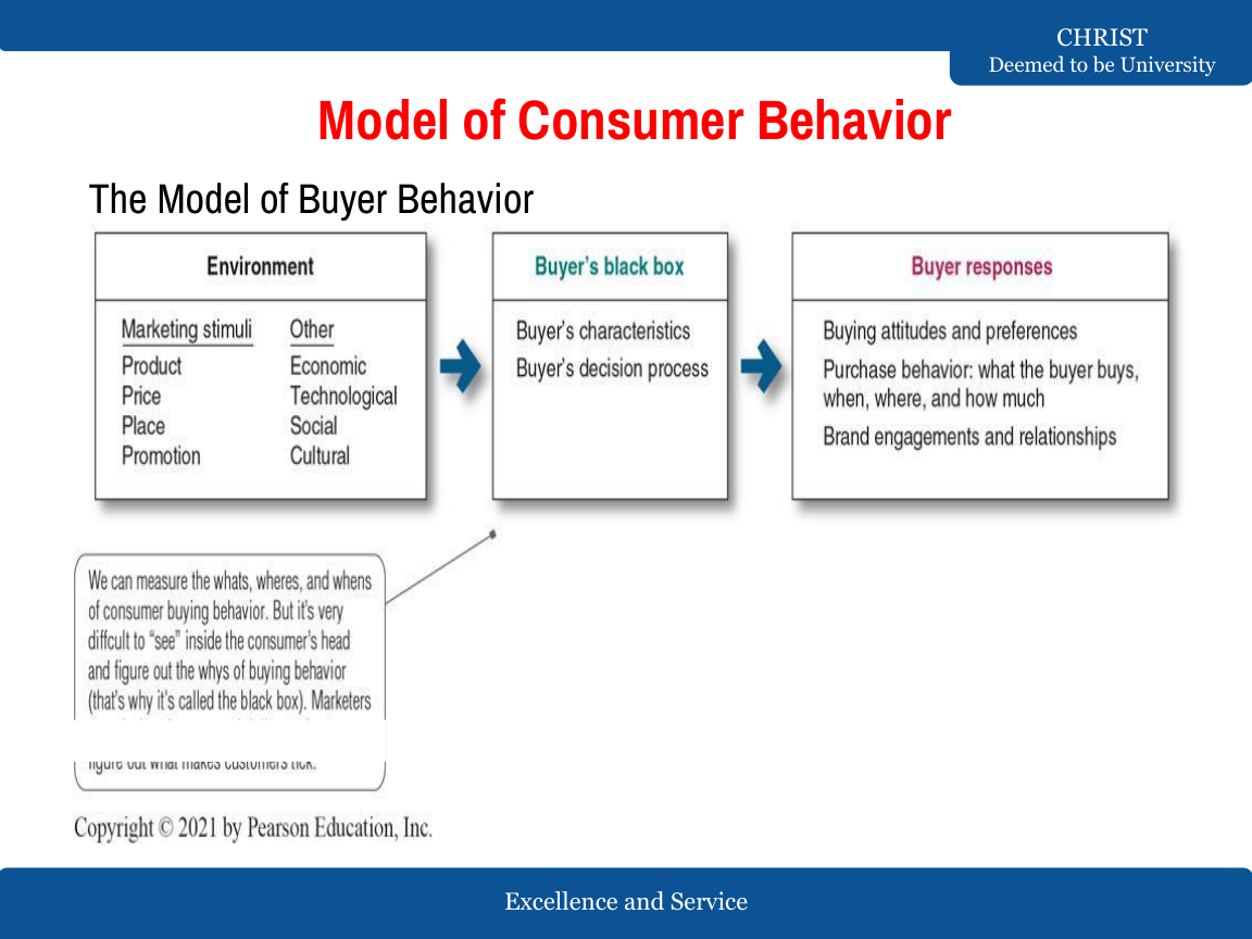 Buyer behaviour model: environment → buyer’s black box → responses